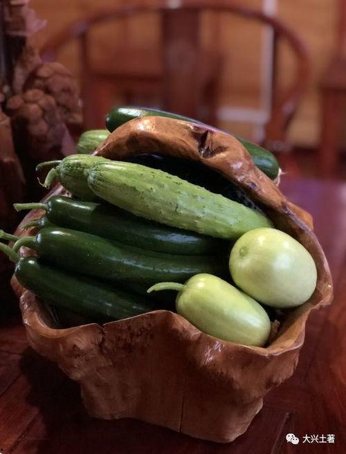 近期热门吃瓜网红有哪些,盘点近期爆红网络的热门吃瓜网红