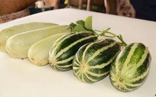 免费吃瓜网红,揭秘网络红人的神秘世界