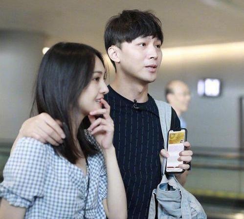 吃瓜爆料 陶鑫鑫,吃瓜爆料背后的真相与争议