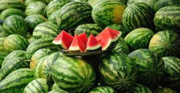 河北网红夫妻吃瓜,揭秘背后真相与争议