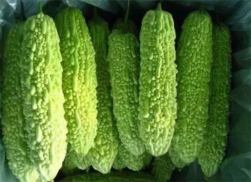 南宁吃瓜情报处官网,揭秘南宁美食圈最新动态与热门话题