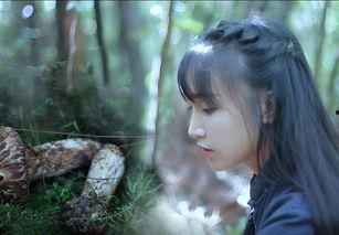 李子柒吃瓜网,揭秘网红美食背后的故事