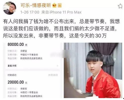 最新吃瓜网红捐款事件真相,真相背后的人性与责任