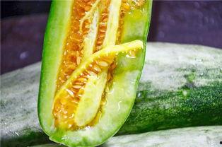 莱阳网红甜甜吃瓜,揭秘莱阳美食圈背后的故事